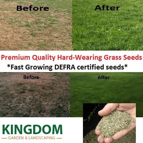 Grass seed hard wearing - grass,