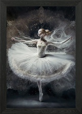 Ballerina Framed Wall Art