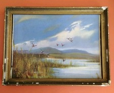 Vintage Retro 1950s Vernon Ward Mallard Ducks Flying Birds Print Picture Framed