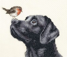 Black labrador dog - black,