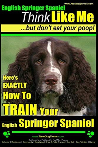 English springer spaniel - spaniel, |