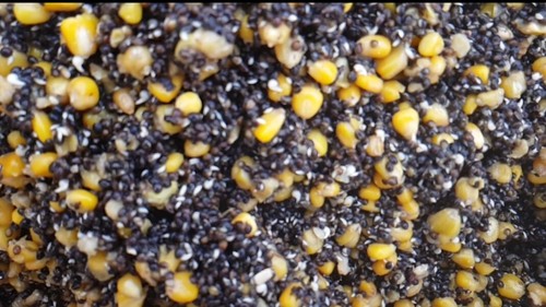 Prepared hemp maize - hemp,