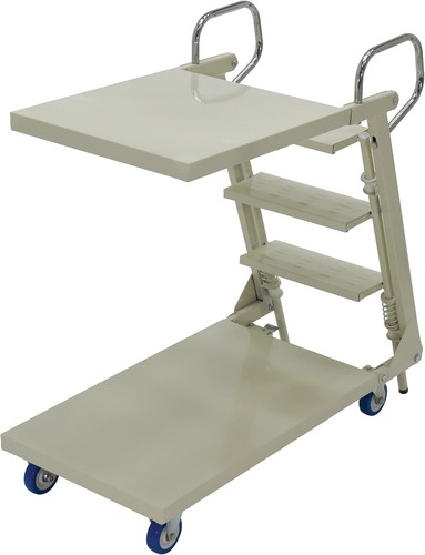 Heavy duty ladder - , warehouse