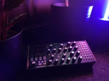 MOOG Subharmonicon