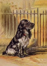COCKER SPANIEL DOG GREETING