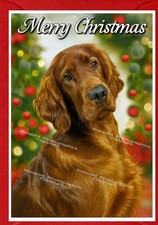 Irish Setter Red Dog Christmas