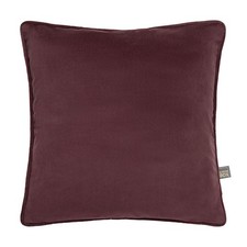 Scatter Box Erin Plain Feather