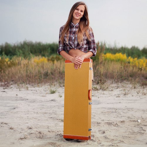 Electric guitar hard case wood - electric,