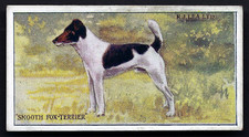LEA - DOGS (1-25) - #17 SMOOTH FOX TERRIER