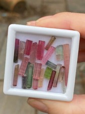 Green Pink Red Watermelon