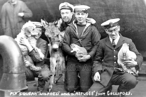 Pww military naval - pww-82, military,
