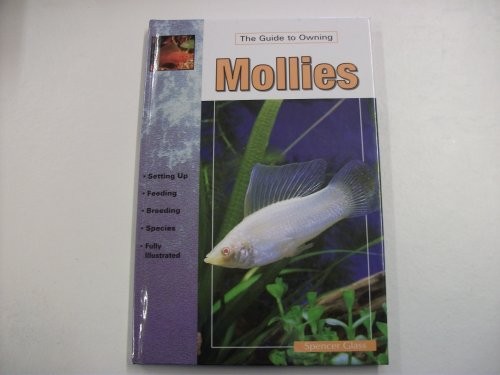 Mollies keeping and breeding - and,