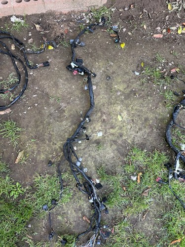 Zx6r 2005 2006 harness - 2005-2006,