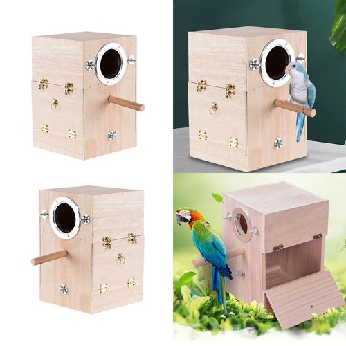Parrot breeding box aviary - breeding,