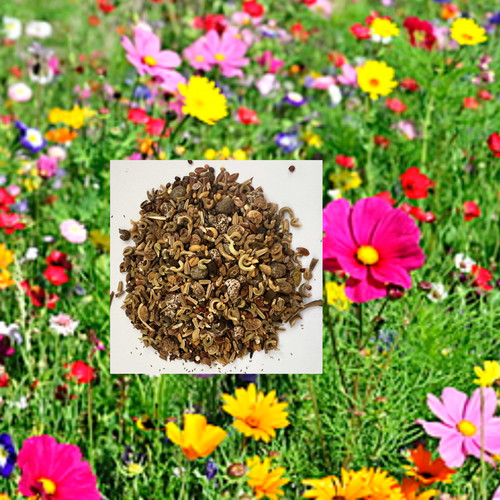 Native wildflower seed mix - native,