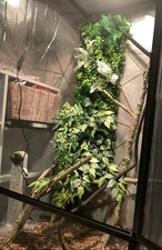 Chameleon Full Set Up