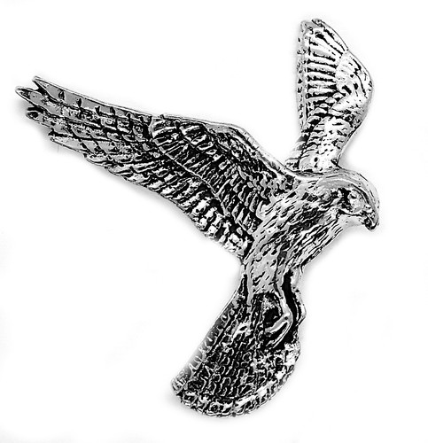 Kestrel falcon bird - kestrel, pin