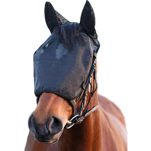 Equilibrium riding relief fly - equilibrium,