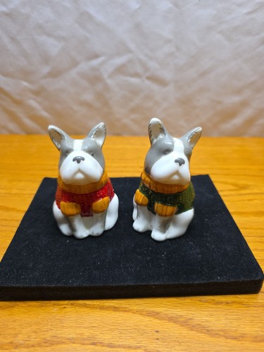 Boston terrier french bulldog - terrier,