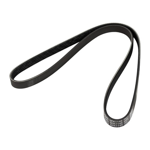 Ribbed 5k1145 55232449 - v-ribbed,