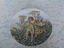 World Of Flower Fairies