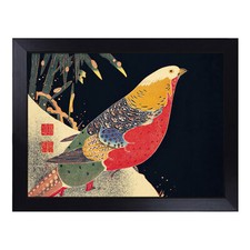 Golden Pheasant In The Snow By