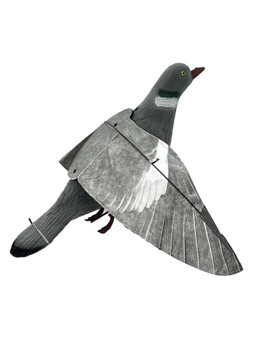 New enticer winged pigeon - winged,