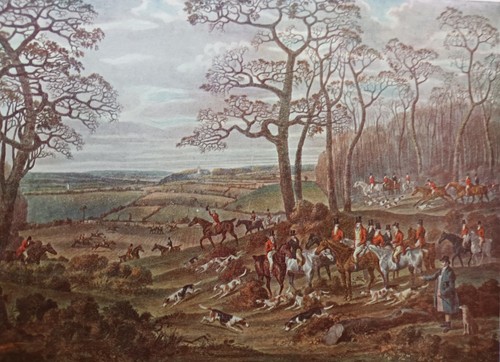 Vintage fox hunting - hunting, the