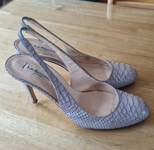 Bennett grey snake - bennett,