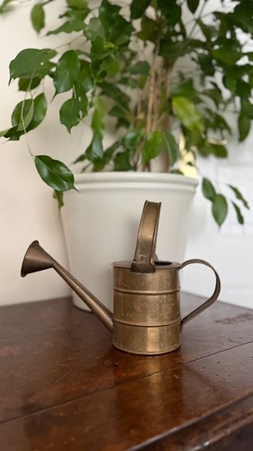 Small vintage brass watering
