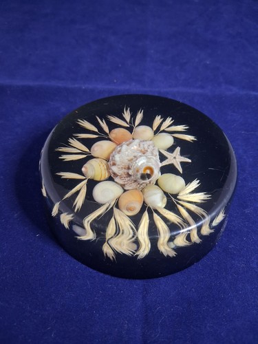 Vintage lucite seashell - vintage,