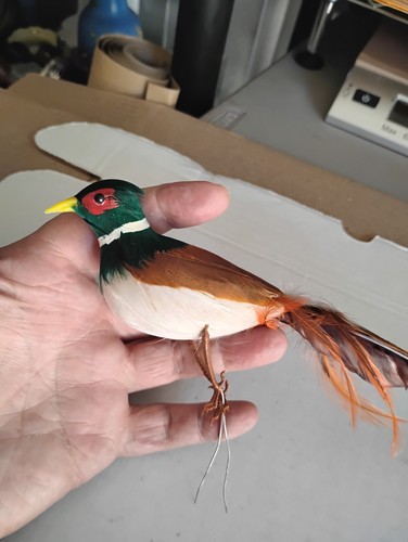 Vintage feathered pheasant - feathered,