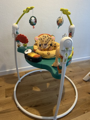 Fisher price leaping - fisher-price,
