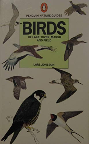 Birds lake river marsh - birds, lake,