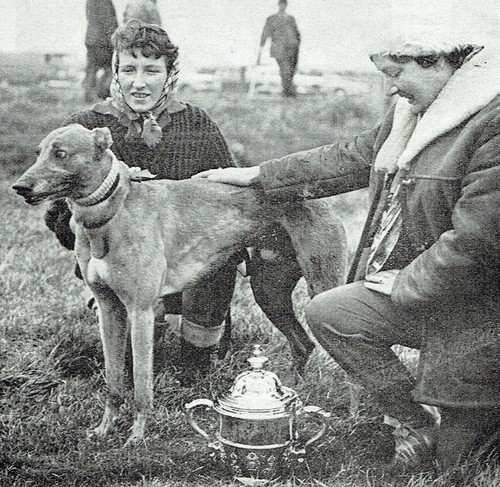 Hare coursing altcar - hare,