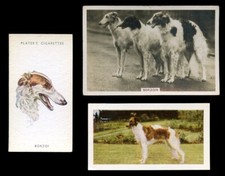 BORZOI RUSSIAN WOLFHOUND DOG VINTAGE CIGARETTE & TRADE CARDS - x 3 all original