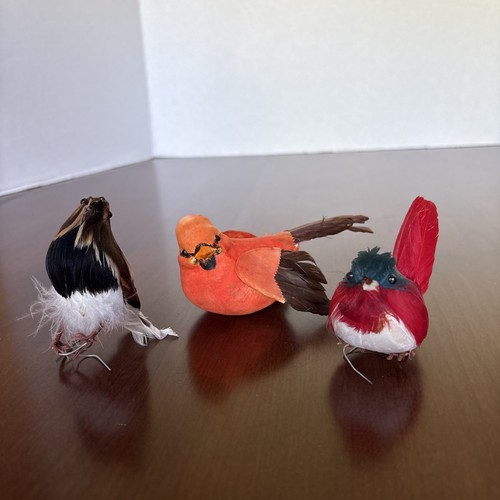 Feather decoration bird - decoration,