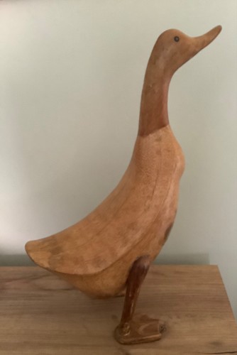 Dcuk brown duck - dcuk,