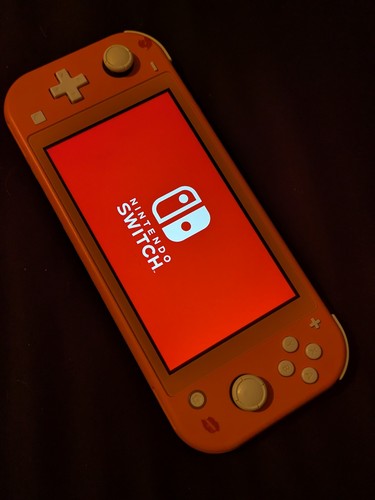 Nintendo switch lite - switch,