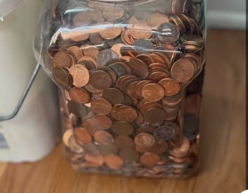 000 unsearched pennies - 1,000,