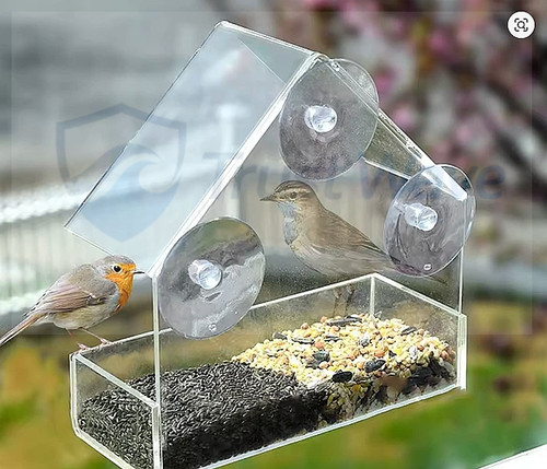 Transparent window feeder - transparent,