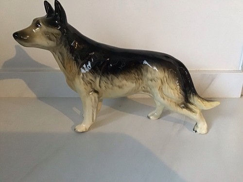 German shepherd dog alsatian - shepherd,