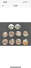 12 Vintage Wedgwood Collectors