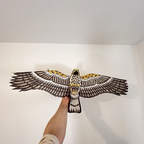 Vintage bird prey - vintage,