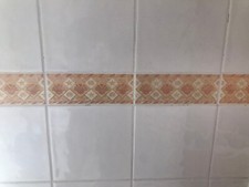 Bathroom Tiles 6x NEW Border