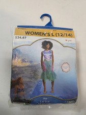 Disguise Disney The Little