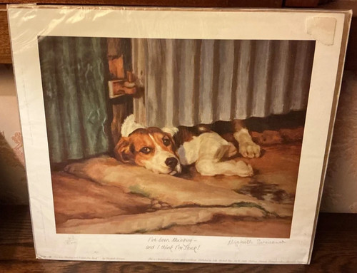 Fox hound limited edition - limited,