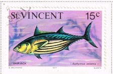 St.Vincent Islands Fish Marine