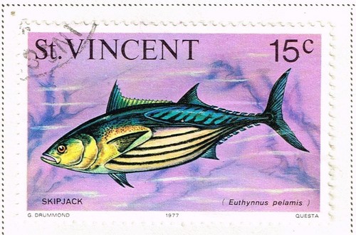 Vincent islands fish - st.vincent,