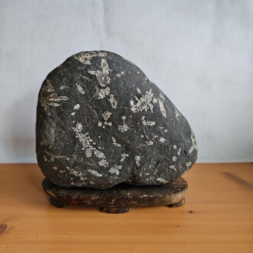 Japanese suiseki bonseki - japanese,